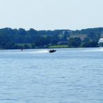 Pictures of the summer regatta